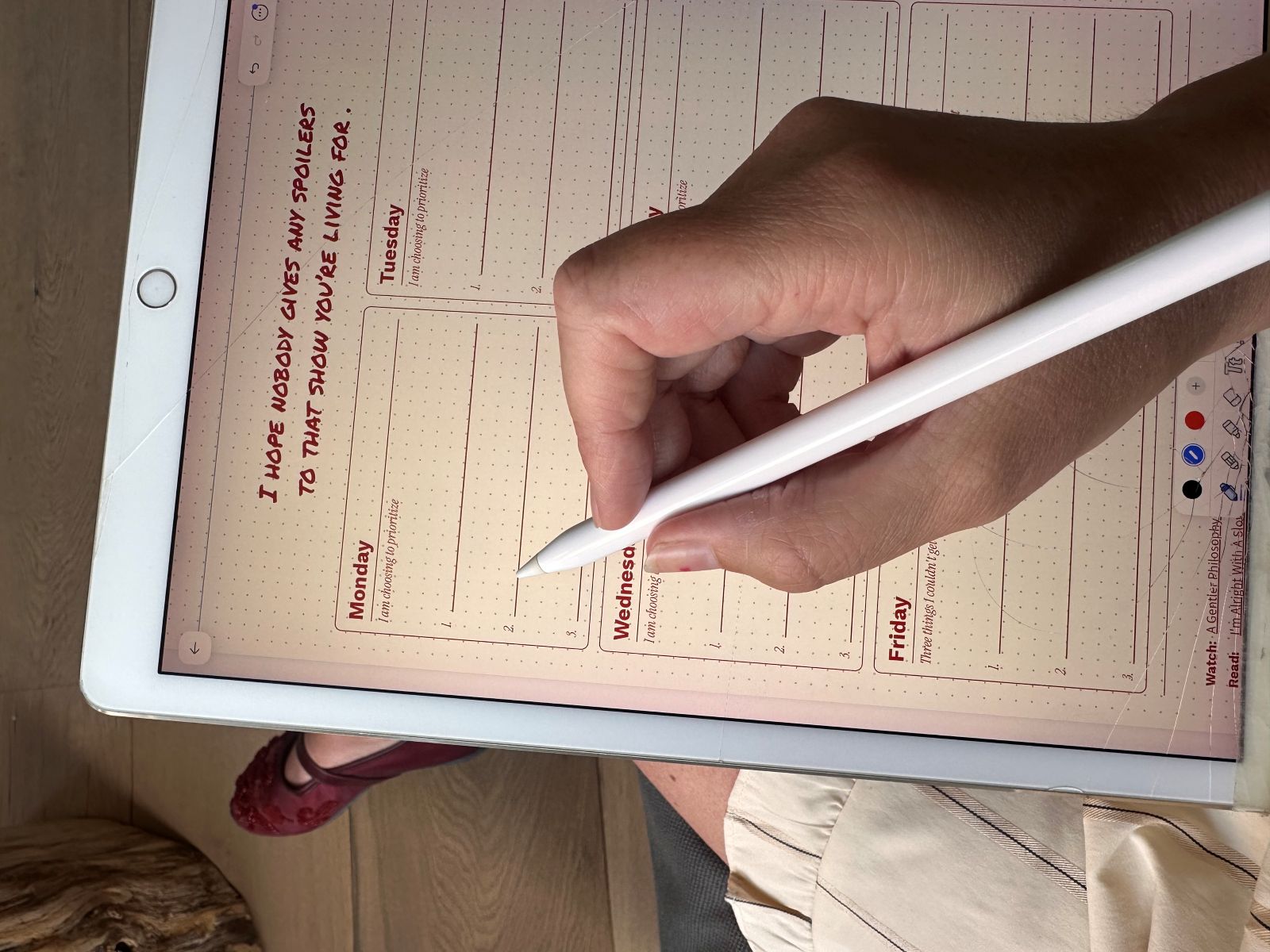 Planner in use on iPad